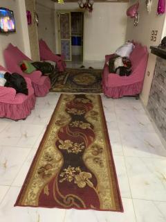 Simple and Spacious in Port Said airconditioed - 8