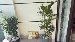 The royal executive retreat residencies which offers a modern luxurious lifestyle - 9