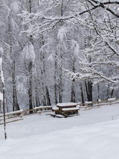 Cabana Izvorul Rece Polovragi - 8