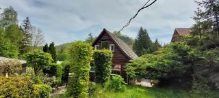 Der Gimpel - 1