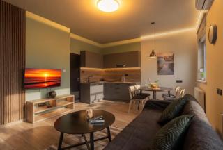 Elegant Noir APT, 1BDR - Zagabria - 0