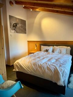 Mira Piz Signina - Wunderbare Dachwohnung mit Blick in die Berge - 7