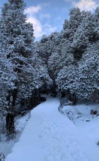 Sonal cove - 5