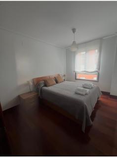 Vivienda Vacacional Limpias Cantabria - 4