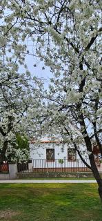 VárLak - Várbalog - 8