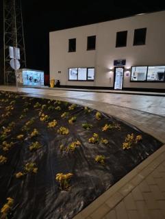 Truck Park Liège - Capsule de la Sate - 4