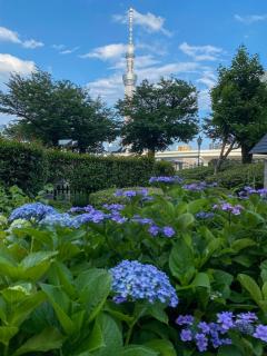 誠心堂4f - 8