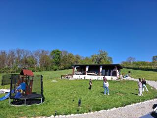 Cuibul de pe Deal Coșdeni Bihor - 7