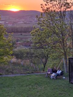 Cuibul de pe Deal Coșdeni Bihor - 6
