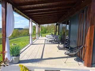 Cuibul de pe Deal Coșdeni Bihor - 3