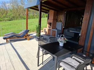 Cuibul de pe Deal Coșdeni Bihor - 2