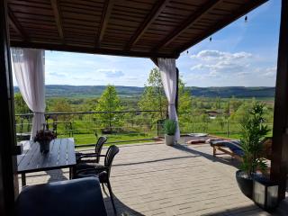 Cuibul de pe Deal Coșdeni Bihor - 1