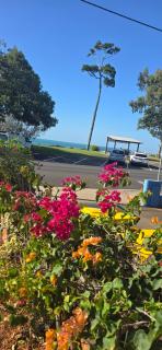 Lisianna Apartments - 5