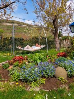 Mein Wein Apartment - 2