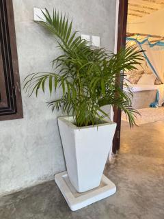 Coastal calm apartment - 7