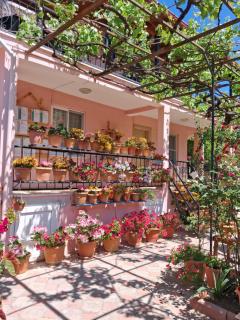 Günışığı Pansiyon & Apart - 6