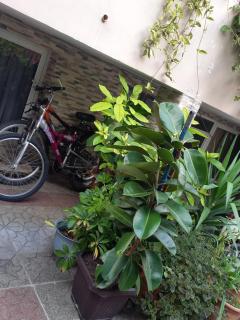 Bougainville Place - 1