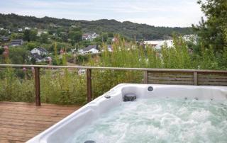 Luxury Fjord Cabin with jacuzzi, boat dock & view - 8