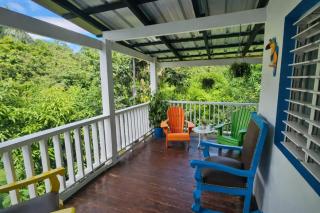 Springhouse jarabacoa casa colorida piscina privada - Jarabacoa - 3