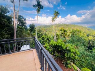 Emerald Leaf Kandy Villa - 6