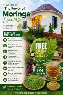 Lucky Monkey Lodge - 8