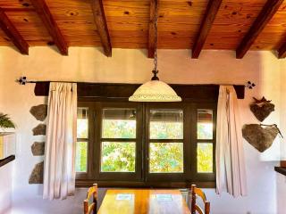 Acogedor apartamento al sur de la Sierra de Gredos - 1