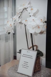 Manhattan studio Seboj Belvil - 2