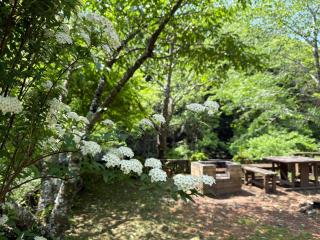 Sunny Side Cottage - 6