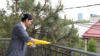 Sofa hotel and Amor fati group - 9