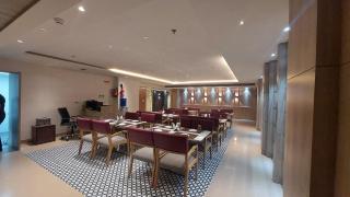 OPO Premier Ro'yal Delhi Airport FREE Airport Pickup - 8