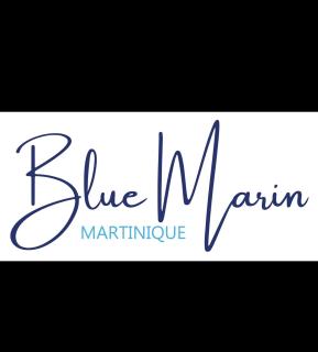 Blue Marin Villa, 2 bedrooms, pool, sea view - 8