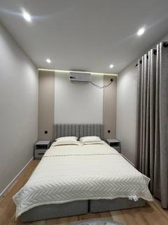 Lux apartment Tashkent - 5