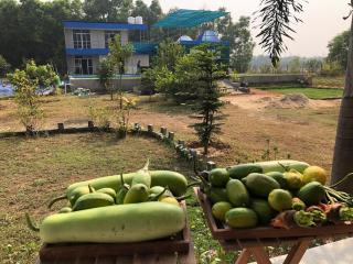 Luxury 3BHK Private Pool Farmhouse Near Durgapur - 4