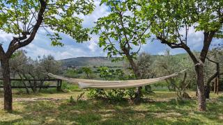 La Limonaia Cortona - 2