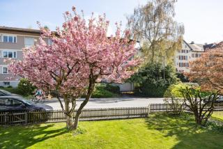 Daheim auf Zeit Moderne Stadtwohnung Sankt Gallen - 9