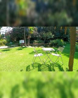 Green Oasis Lodges - 6