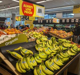 Sunshine Suite in Riley Park - 6