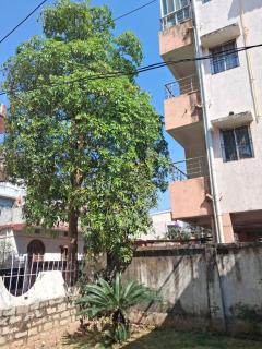 Spacious and airy 2BHK Home Stay in Ranchi - 3