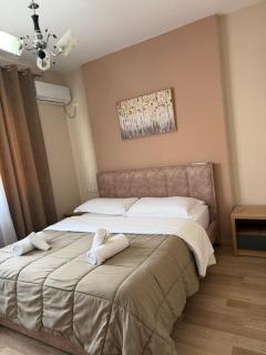 Comfort Apartment City Center Tirana with Balcony 2 - 5