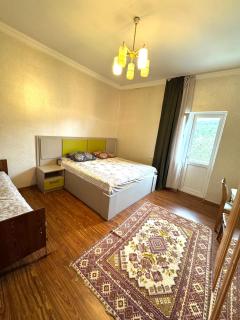 Surami Guest House Shorety - Surami - 9