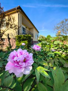 Gyöngyvirág Vendégház - 0