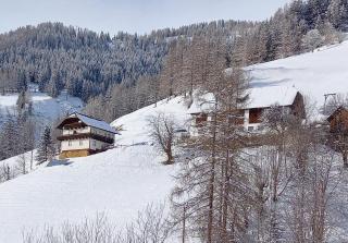 Tischnerhof Appartements - 3