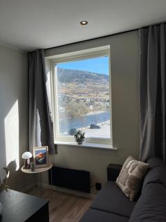 Luxury River View apt - Hotel Vibe - Heart of Voss - 4