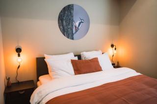 Luxe villa - Bos, Heide, Tuin, Privé Wellness - Veluwe - 3