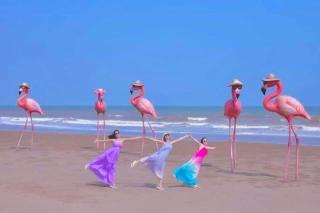 Flamingo Hải Tiến- căn hộ 2 phòng ngủ, view quang cảnh đại dương - 8