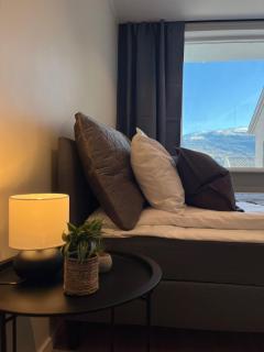 Luxury Balcony River View apt - Heart of Voss - 5