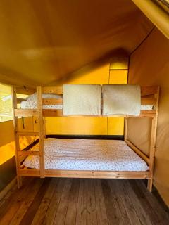 Glamping Safaritent 4 persoons - 1