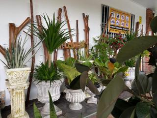 Cozy mountain jungle wood home with Kid Pool - 4