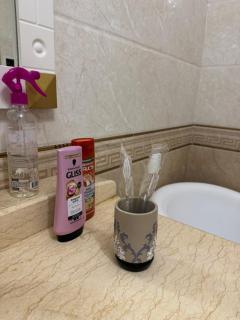 Mega Tower Almaty - 8