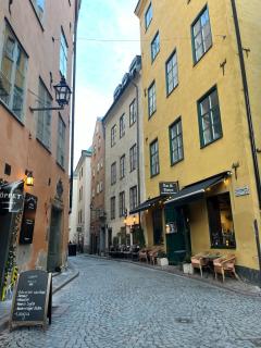 Luxury suite in Gamla Stan, top floor - 8